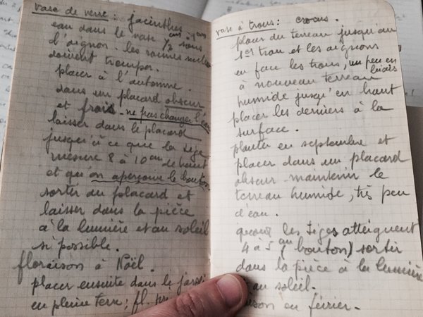 In the middle of your trip story, there is a short digression with a few “gardening” pages #MadeleineprojectEN https://t.co/qmSUbELVDm